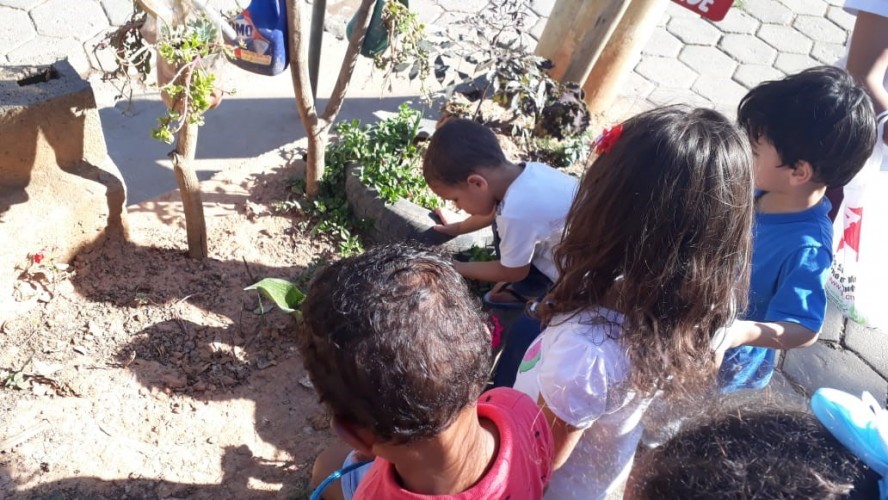 Turma do 9º ano da Escola EMEF Elza de Castro Scardini: projeto "Fossa Ecológica Elza de Castro".