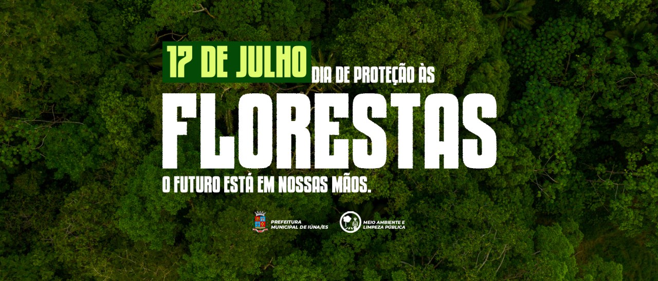 Dia de Proteção às Florestas: preservação e conservação devem ser constantes